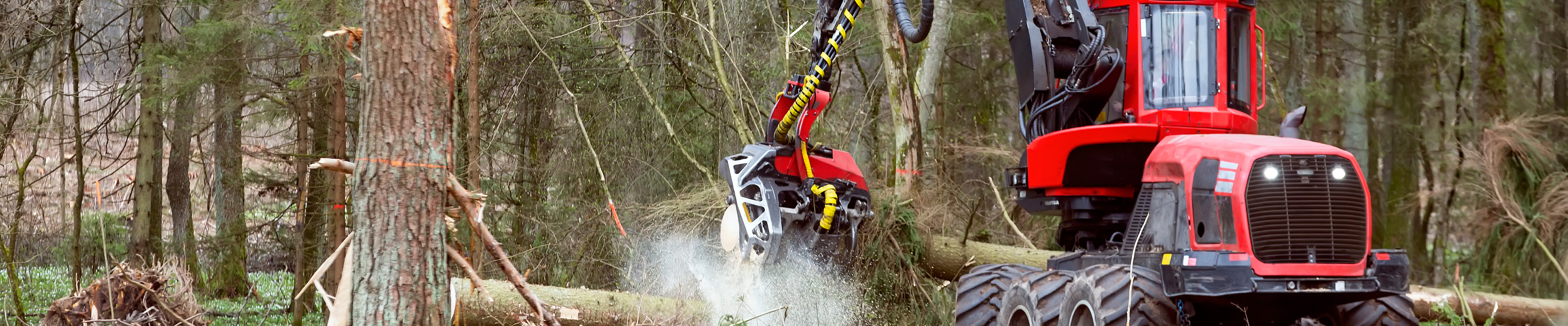 Forest Equipments Forest Equipments